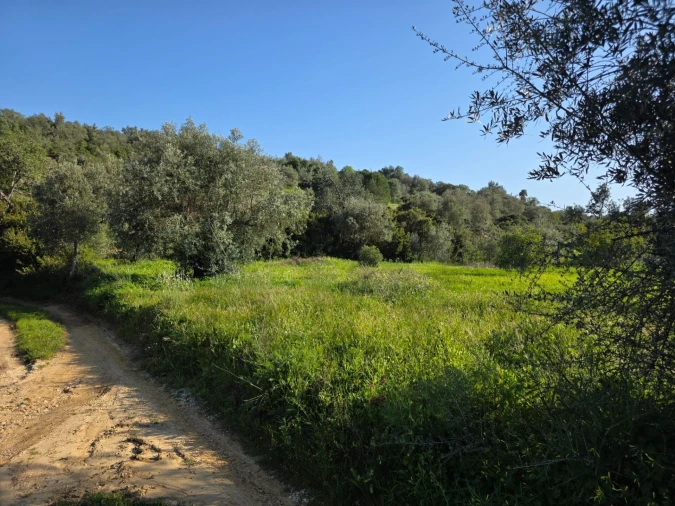 Terreno para Venda em Porches Foto 9