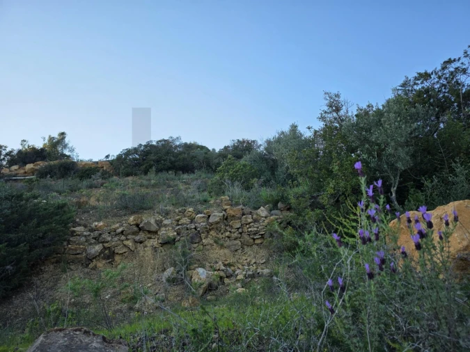 Terreno para Venda em Porches Foto 17