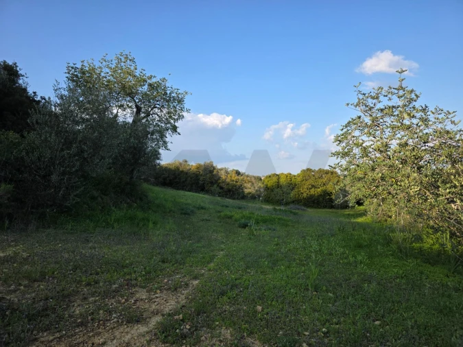 Terreno para Venda em Porches Foto 19