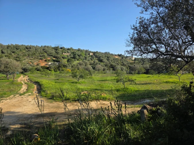 Terreno para Venda em Porches Foto 12