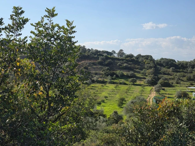Terreno para Venda em Porches Foto 1