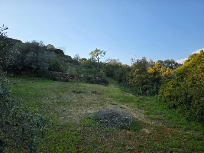 Terreno para Venda em Porches Foto 20