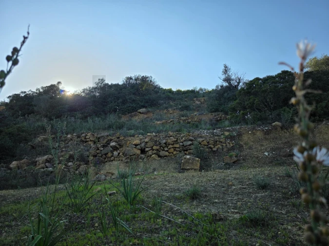 Terreno para Venda em Porches Foto 14