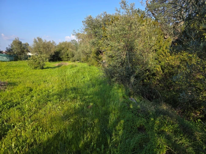 Terreno para Venda em Porches Foto 26