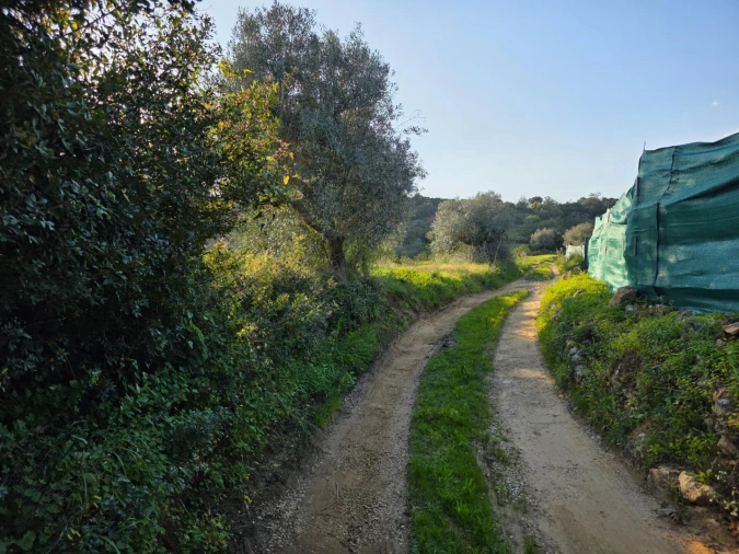 Terreno para Venda em Porches Foto 7