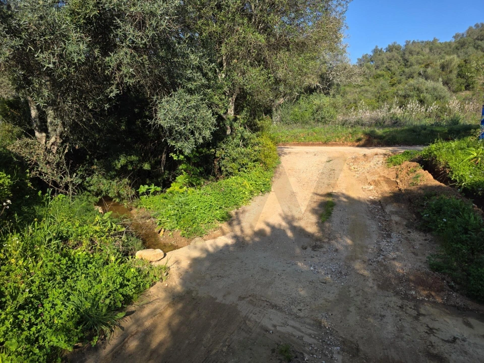 Terreno para Venda em Porches Foto 5