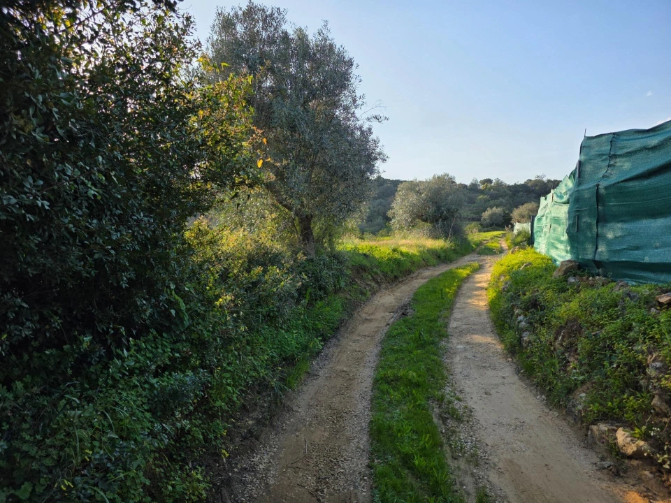 Terreno para Venda em Porches Foto 7