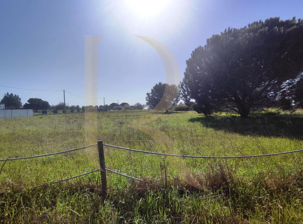 Moradia T3 para Venda em Poceirão e Marateca Foto 12