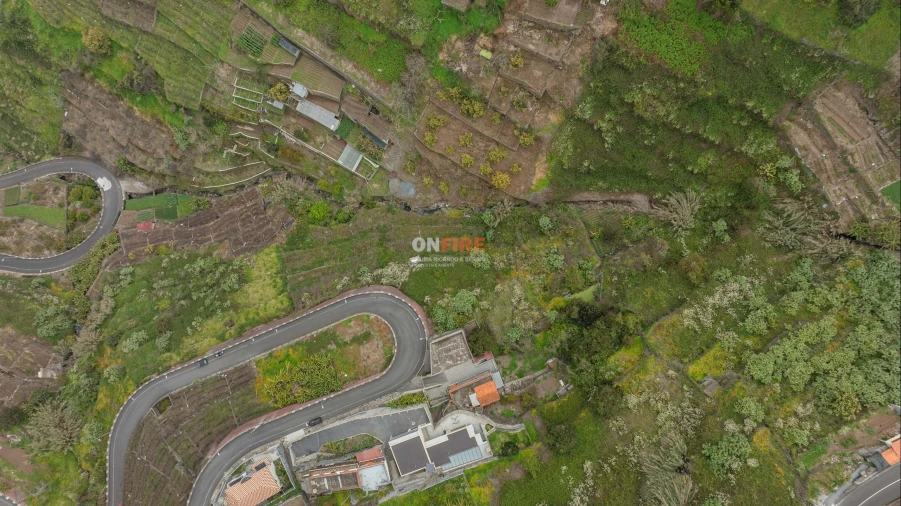 Terreno para Venda em Camara de Lobos Foto 4