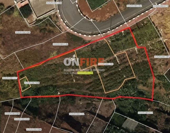 Terreno para Venda em Camara de Lobos Foto 14