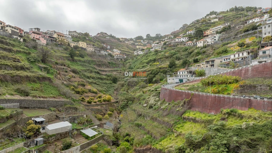 Terreno para Venda em Camara de Lobos Foto 10