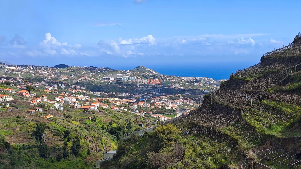 Terreno para Venda em Camara de Lobos Foto 13