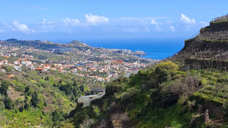 Terreno para Venda em Camara de Lobos