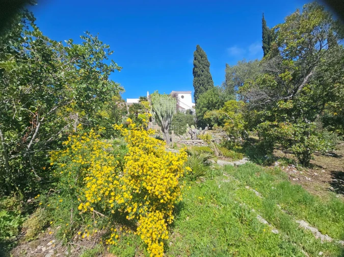 Moradia T4 para Venda em Santa Barbara de Nexe Foto 21