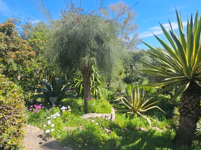 Moradia T4 para Venda em Santa Barbara de Nexe Foto 22