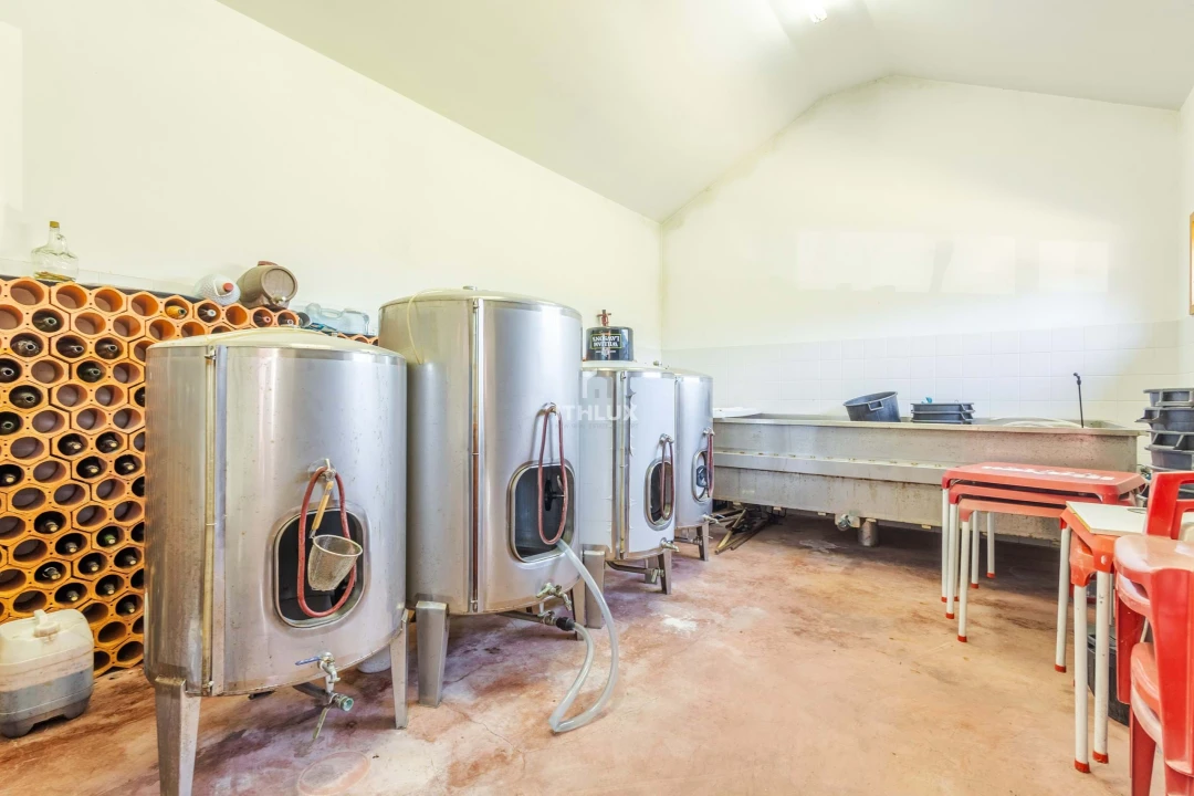 Quinta T5 para Venda em Gondar Foto 28