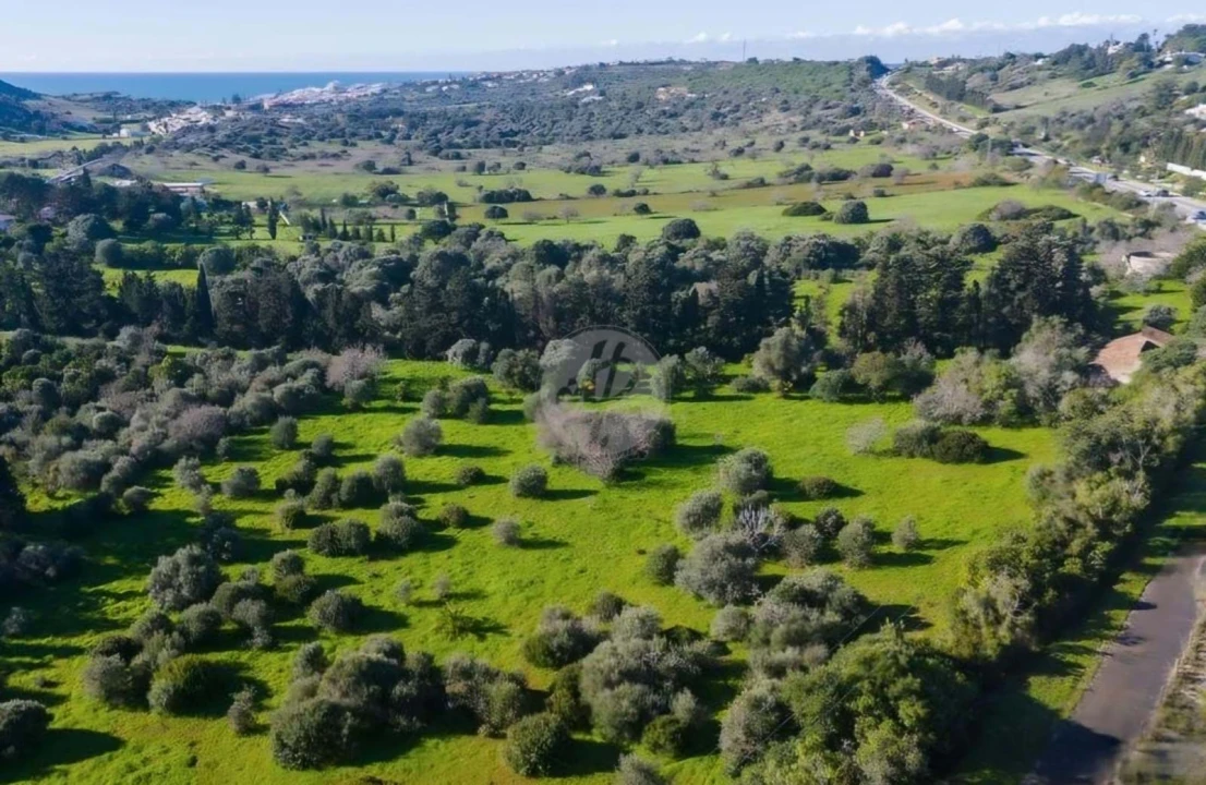 Quinta T3 para Venda em Luz Foto 17