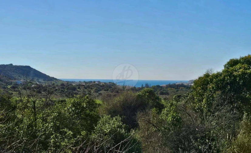 Quinta T3 para Venda em Luz Foto 3