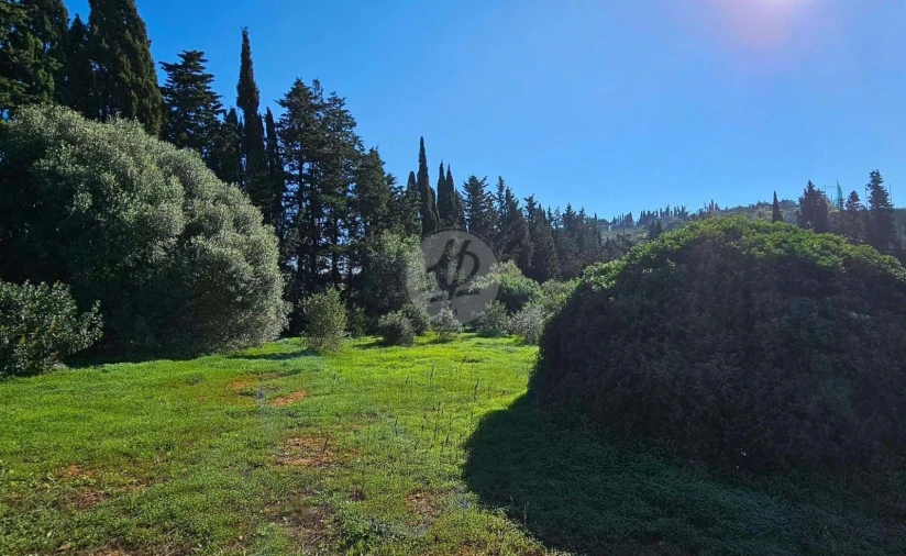 Quinta T3 para Venda em Luz Foto 15