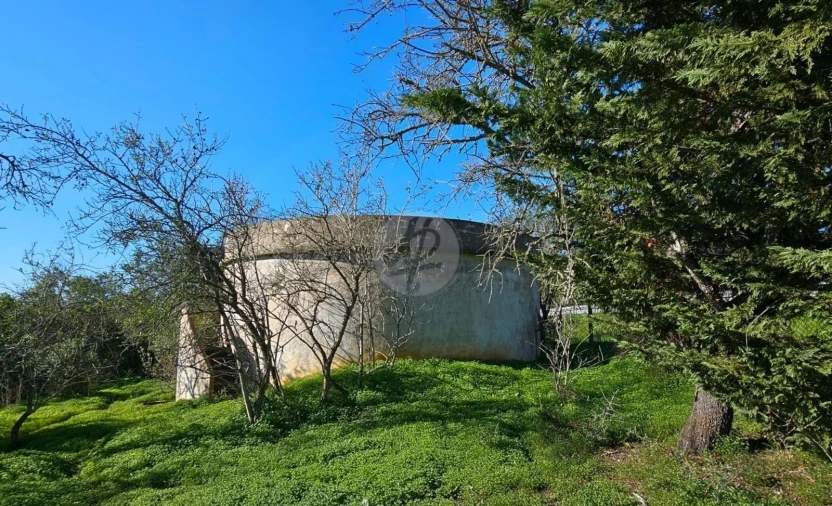 Quinta T3 para Venda em Luz Foto 9