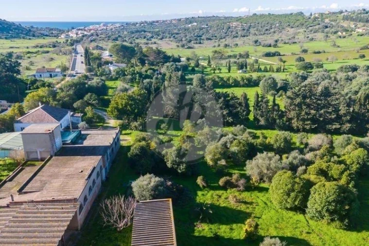 Quinta T3 para Venda em Luz Foto 12