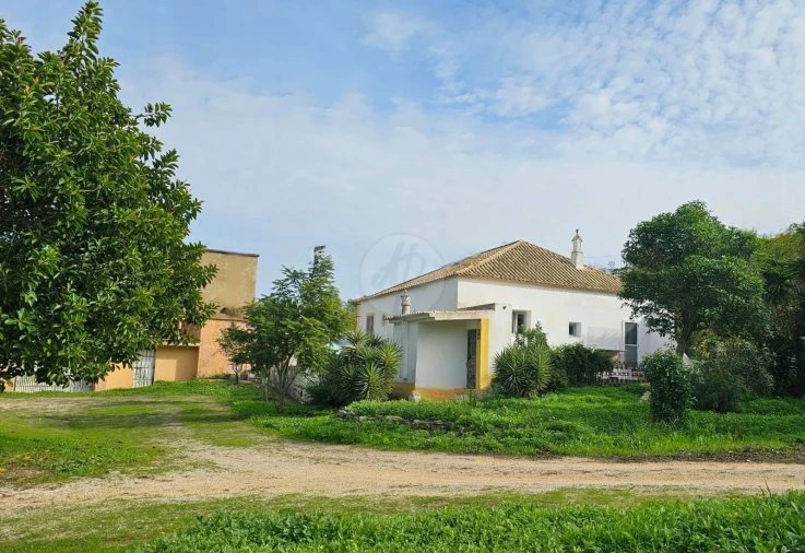 Quinta T3 para Venda em Luz