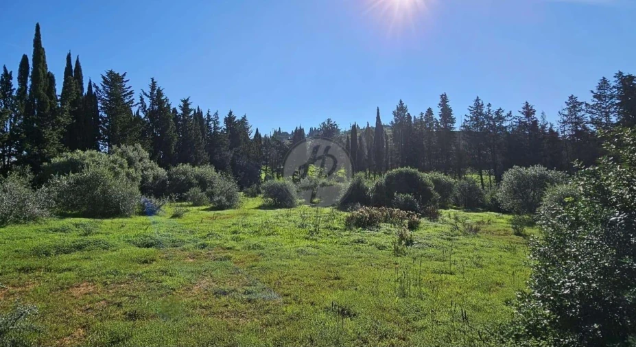 Quinta T3 para Venda em Luz Foto 16