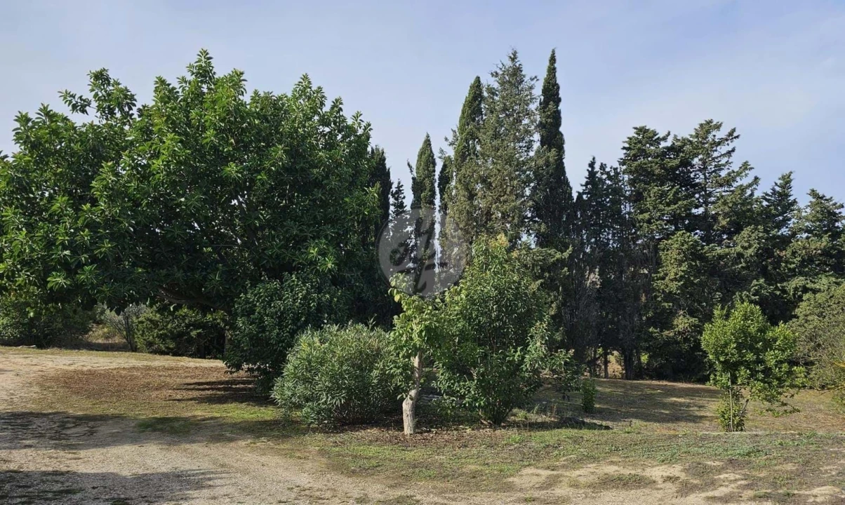 Quinta T3 para Venda em Luz Foto 13