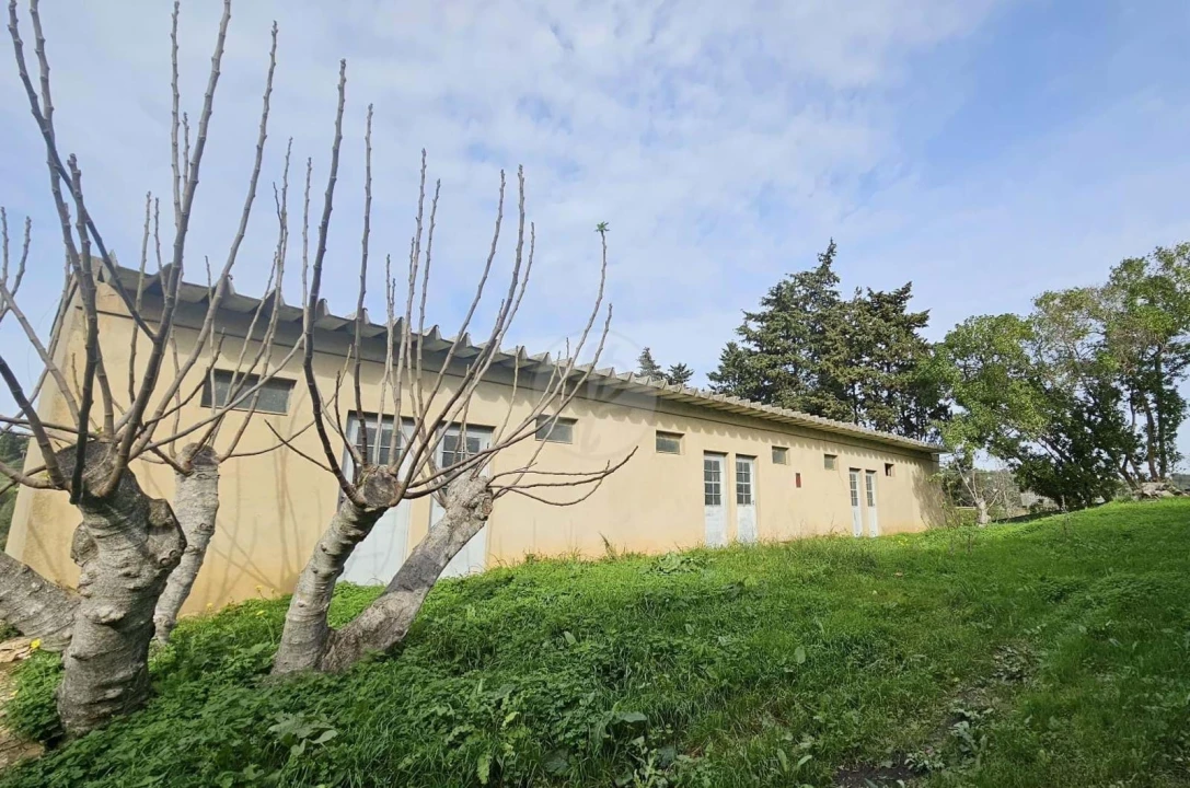 Quinta T3 para Venda em Luz Foto 5