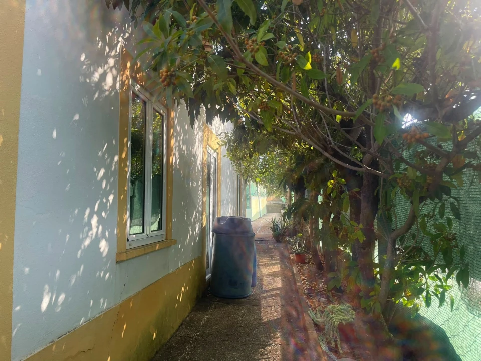 Quinta T3 para Venda em Luz Foto 39