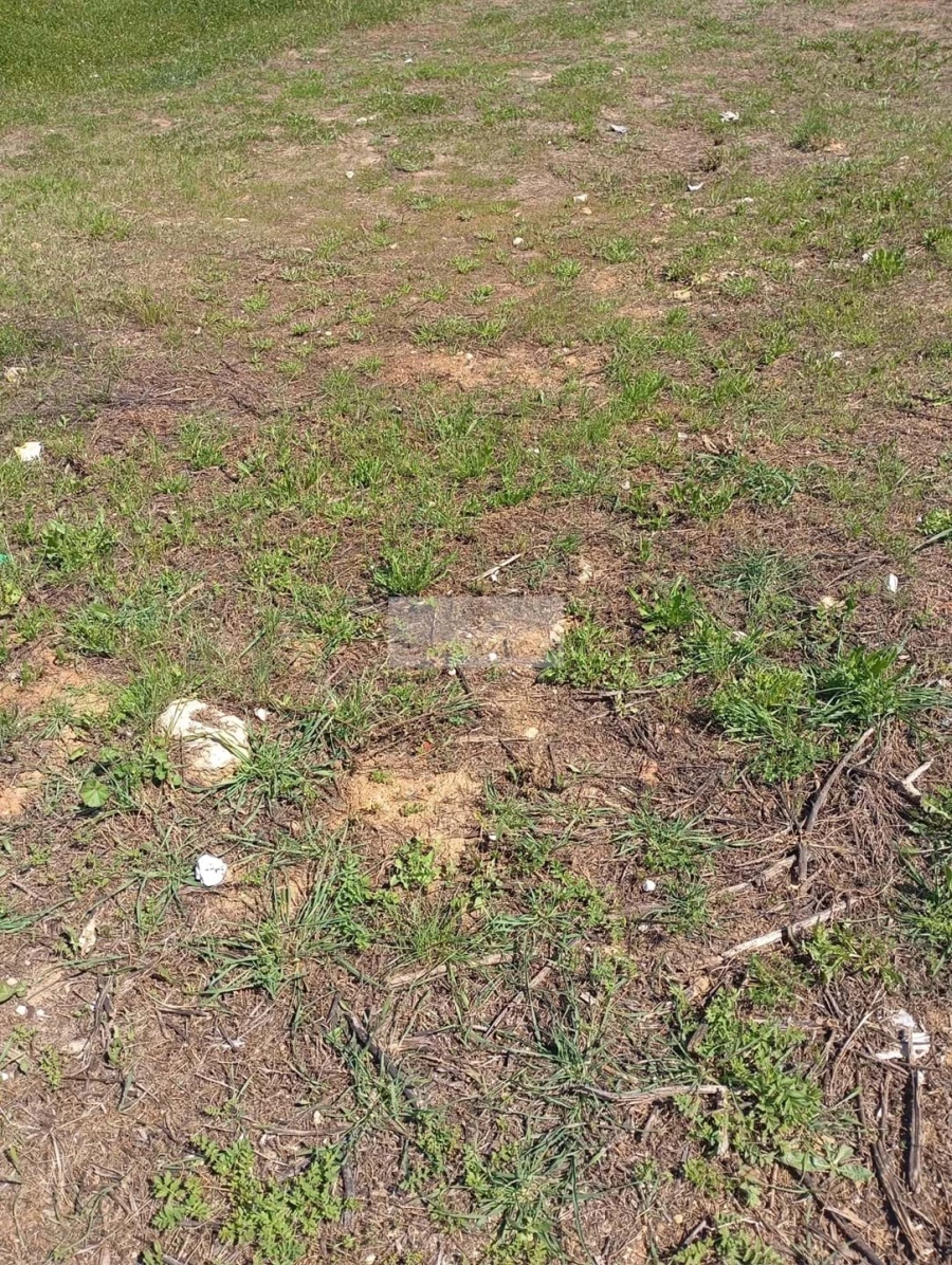 Terreno para Venda em Odiaxere