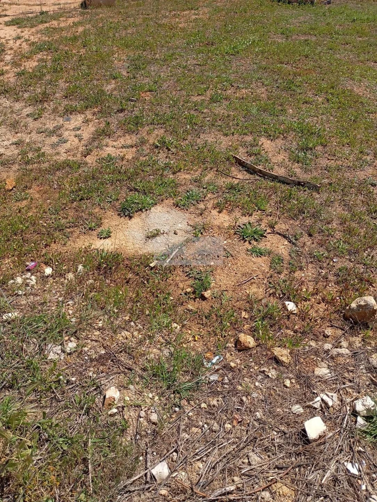 Terreno para Venda em Odiaxere Foto 1