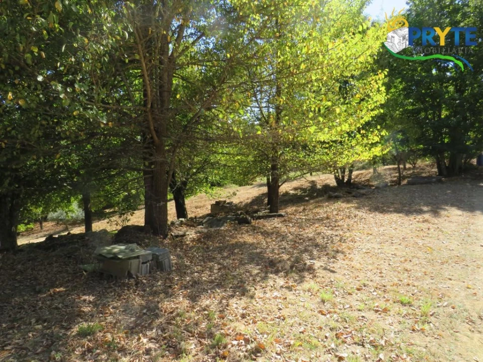 Quinta T8 para Venda em Sertã Foto 54