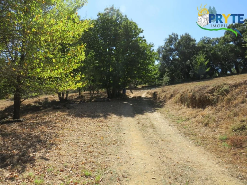 Quinta T8 para Venda em Sertã Foto 56