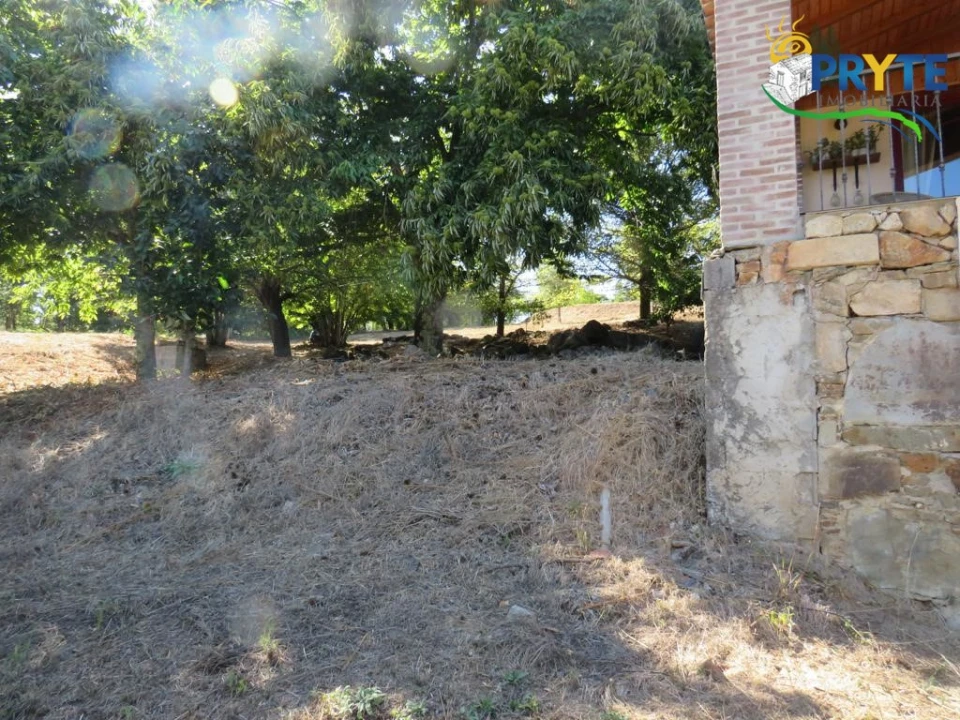 Quinta T8 para Venda em Sertã Foto 114