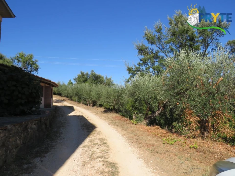 Quinta T8 para Venda em Sertã Foto 116