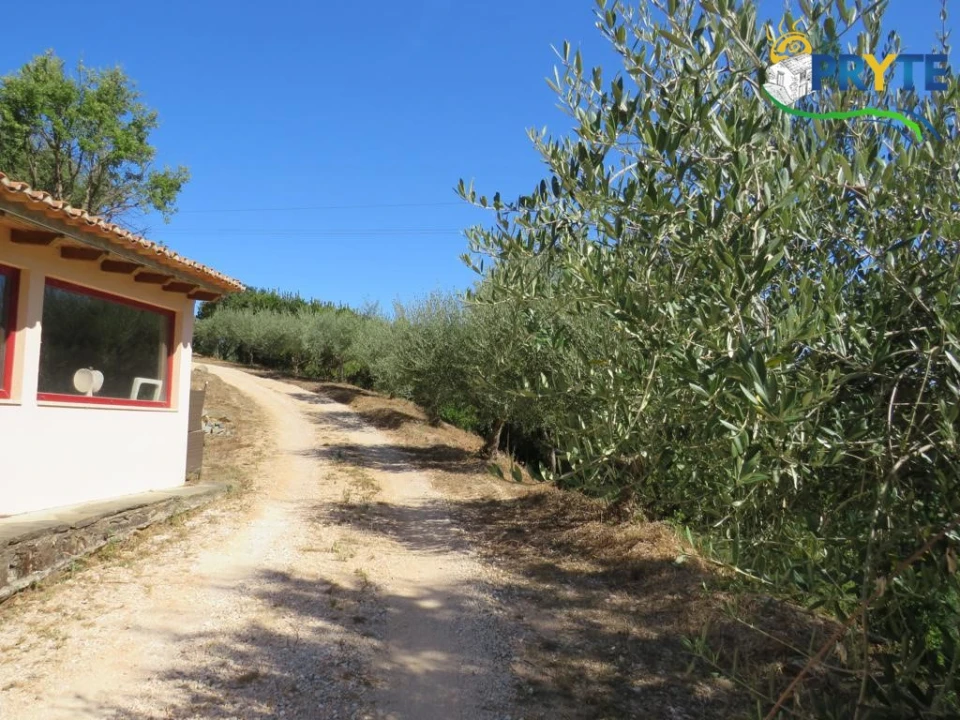 Quinta T8 para Venda em Sertã Foto 119