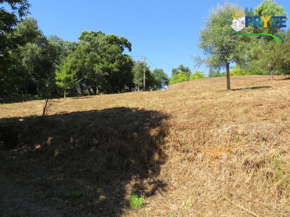 Quinta T8 para Venda em Sertã Foto 135