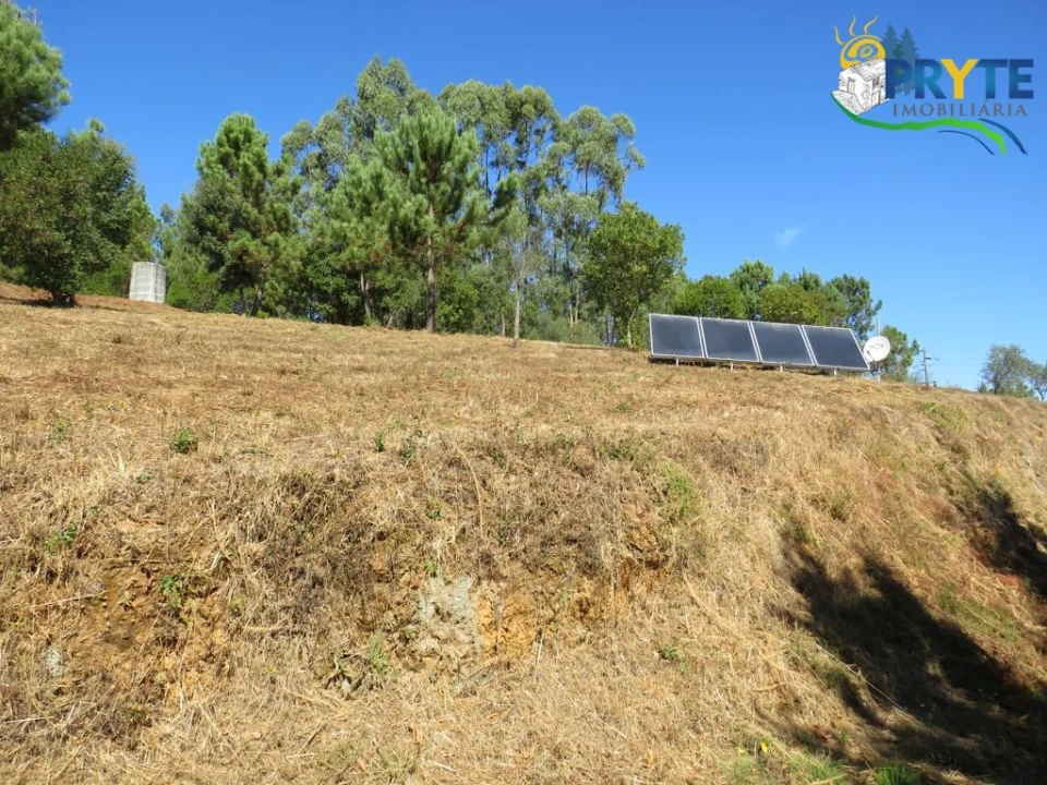 Quinta T8 para Venda em Sertã Foto 136