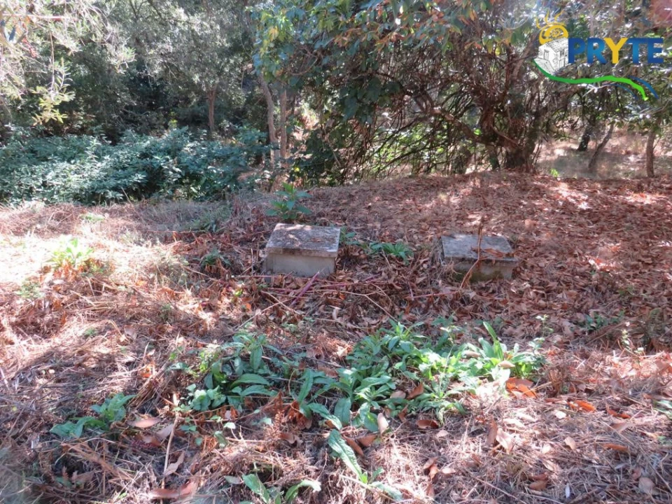 Quinta T8 para Venda em Sertã Foto 145