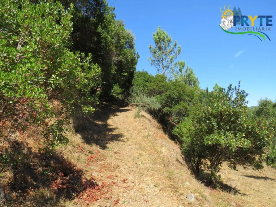 Quinta T8 para Venda em Sertã Foto 147