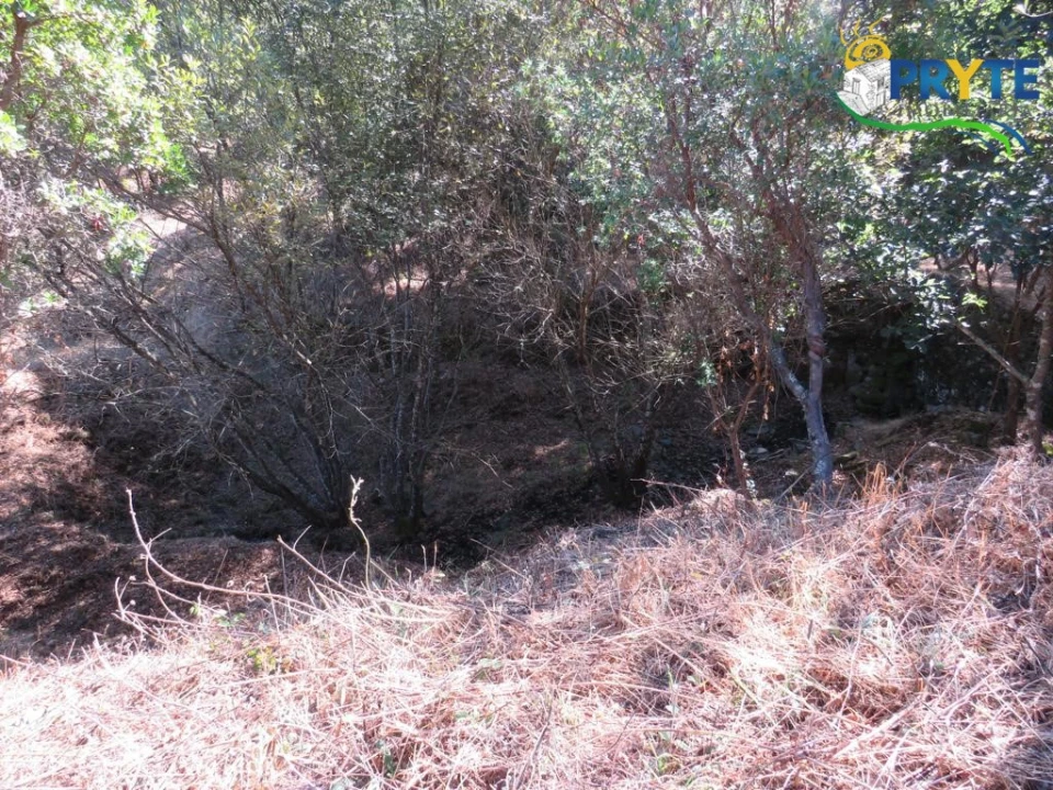 Quinta T8 para Venda em Sertã Foto 148