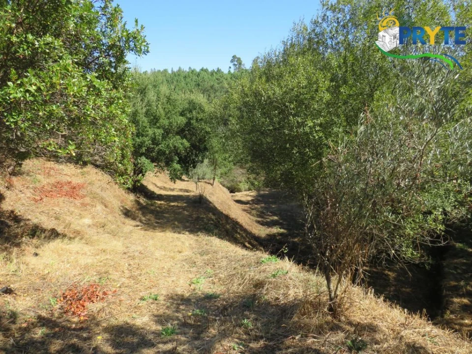 Quinta T8 para Venda em Sertã Foto 150
