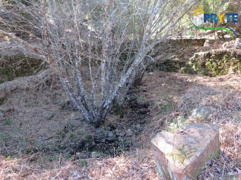 Quinta T8 para Venda em Sertã Foto 151