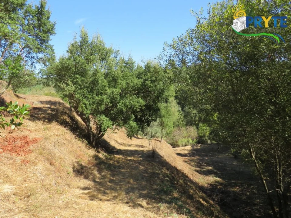 Quinta T8 para Venda em Sertã Foto 155