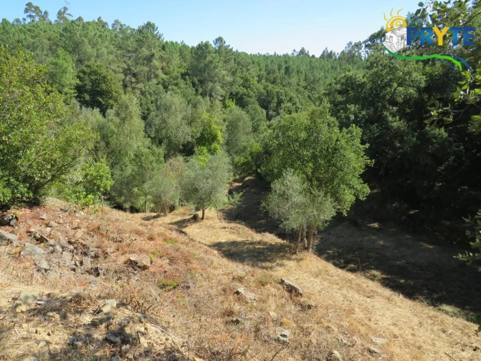 Quinta T8 para Venda em Sertã Foto 157