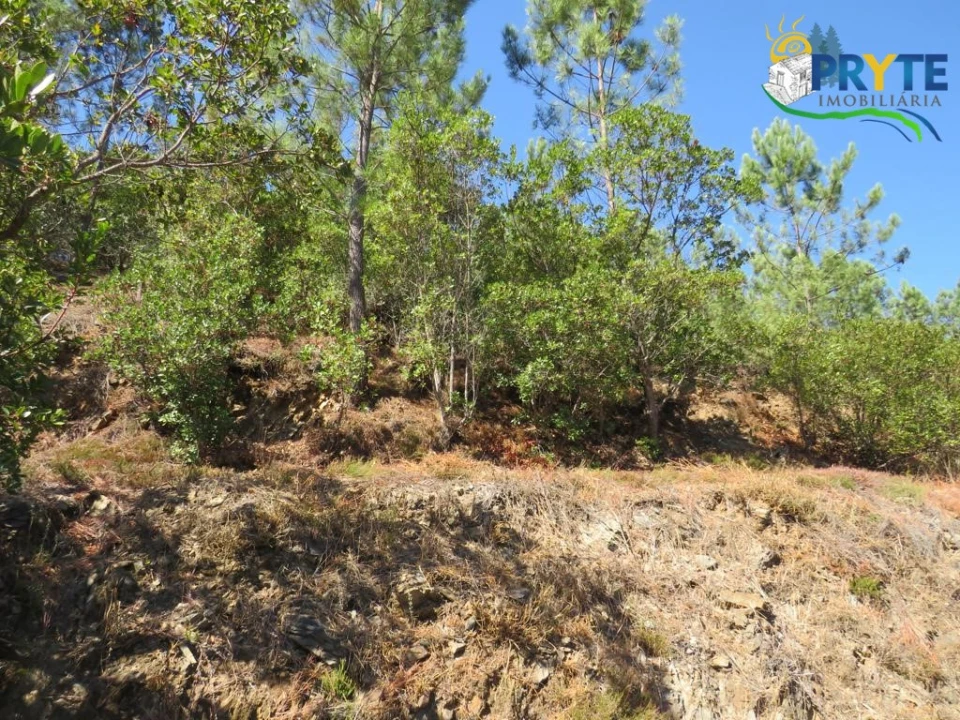 Quinta T8 para Venda em Sertã Foto 160