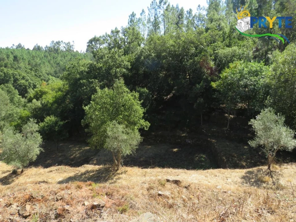 Quinta T8 para Venda em Sertã Foto 161