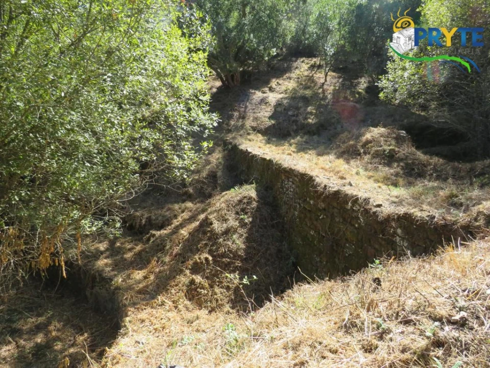 Quinta T8 para Venda em Sertã Foto 162