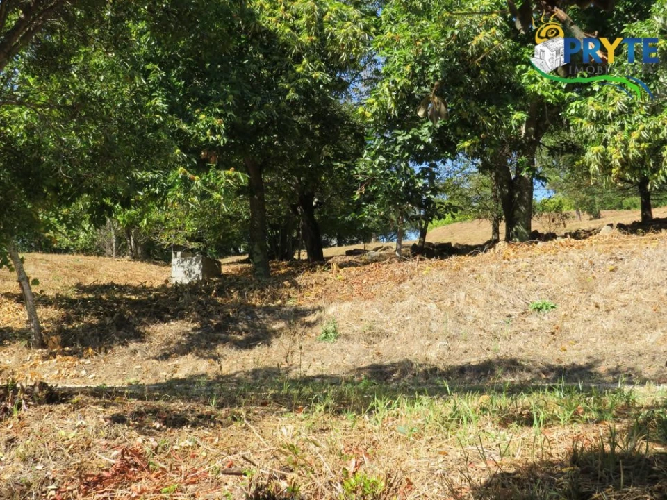 Quinta T8 para Venda em Sertã Foto 167